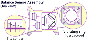 Sensor Module